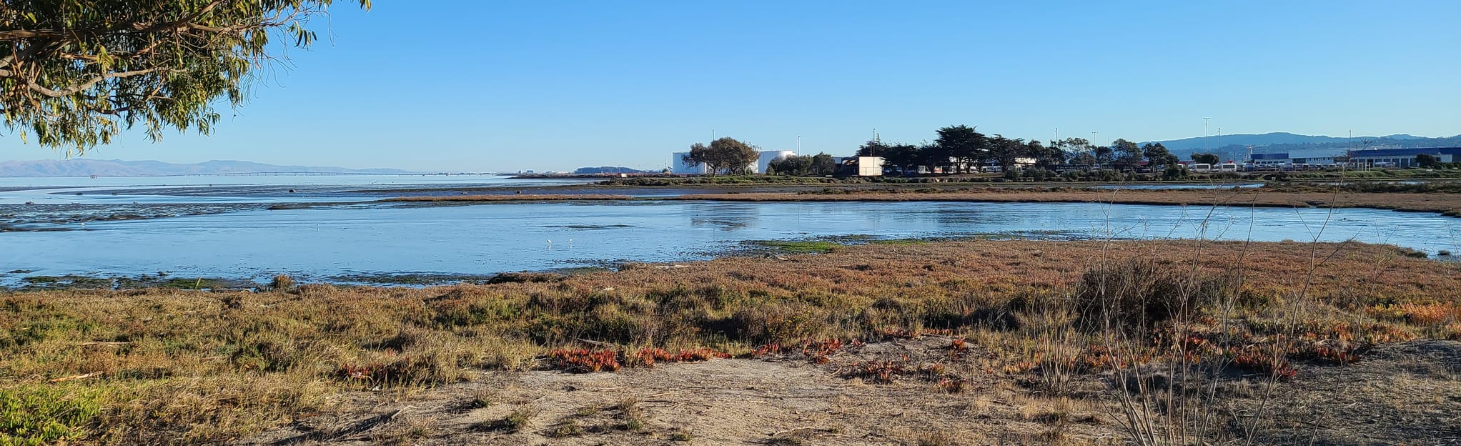 Bay Trail Brisbane Lagoon to Bayside Park, California 52 Reviews