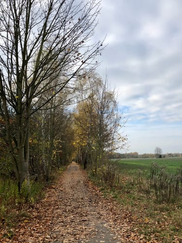 Große Fahrrad-Rallye 