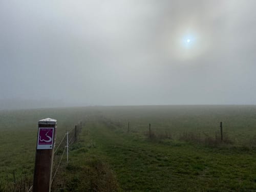 Wispertaler Krönchen (Premiumspazierwanderweg)