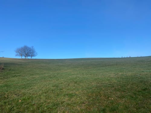 Wispertaler Krönchen (Premiumspazierwanderweg)
