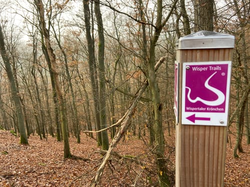 Wispertaler Krönchen (Premiumspazierwanderweg)