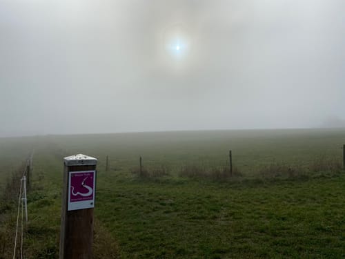 Wispertaler Krönchen (Premiumspazierwanderweg)
