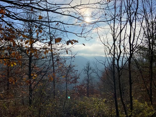 Wispertaler Krönchen (Premiumspazierwanderweg)