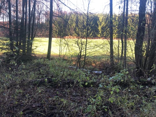 Neyetalsperreweg von Hasenburg