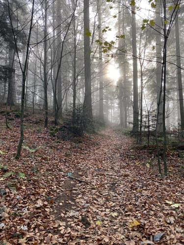 Suggental - Waldkirch - Schwarzenburg