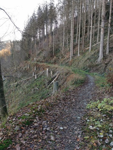 Herdorf Rundweg