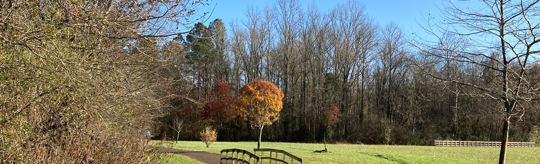 Fletcher Park Loop Tennessee AllTrails