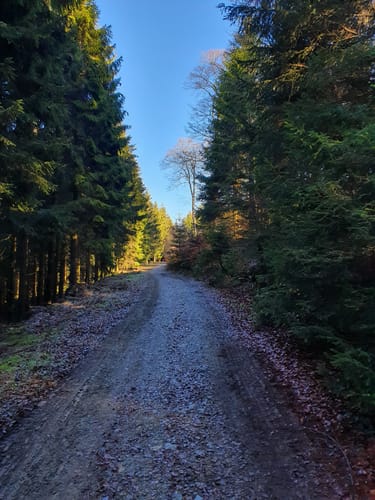 Oberhundemer Bergtour (Premiumwanderweg)