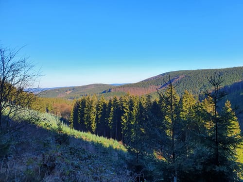 Oberhundemer Bergtour (Premiumwanderweg)