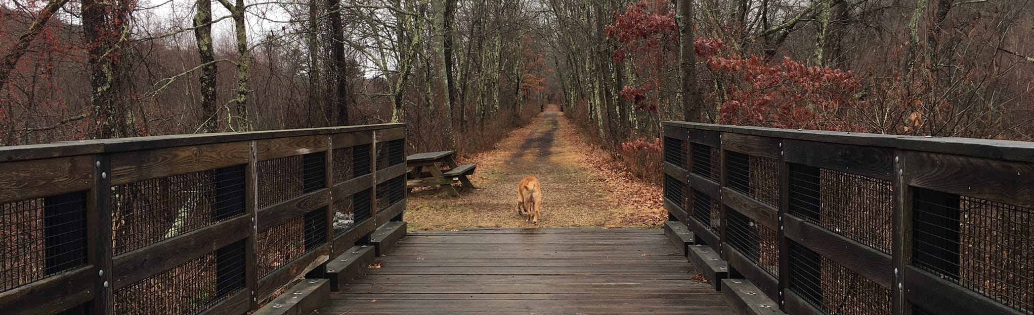 Mass Central Rail Trail Hardwick to Creamery Rd 74 Reviews, Map