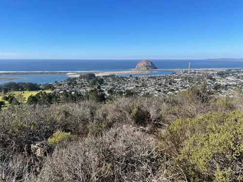 Morro bay 2024 state park hiking