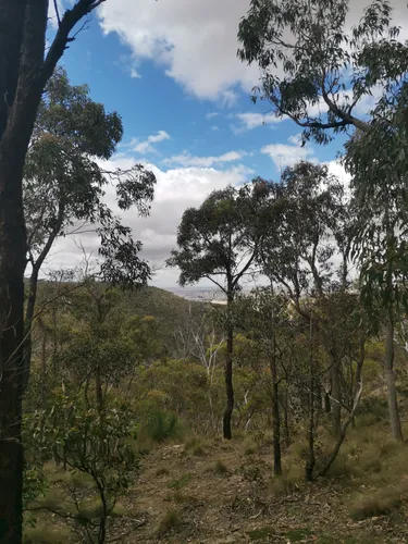 Best Wild Flowers Trails in Staughton Vale AllTrails