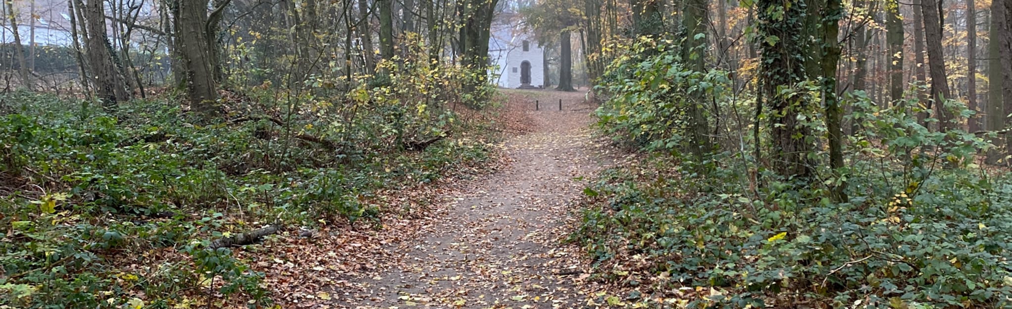 Bois d'Apecheau par le sentier Piotte Walloon Brabant, Belgium