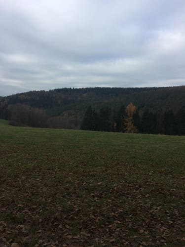 Spessartbiken 07: Flörsbachrunde