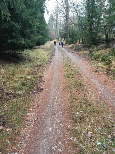 Spessartbiken 07: Flörsbachrunde