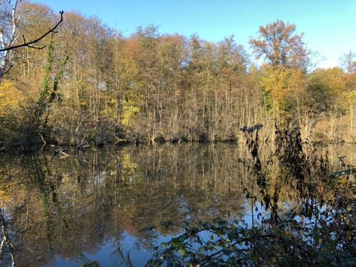Rösrath: Wahner Heide und Geisterbusch