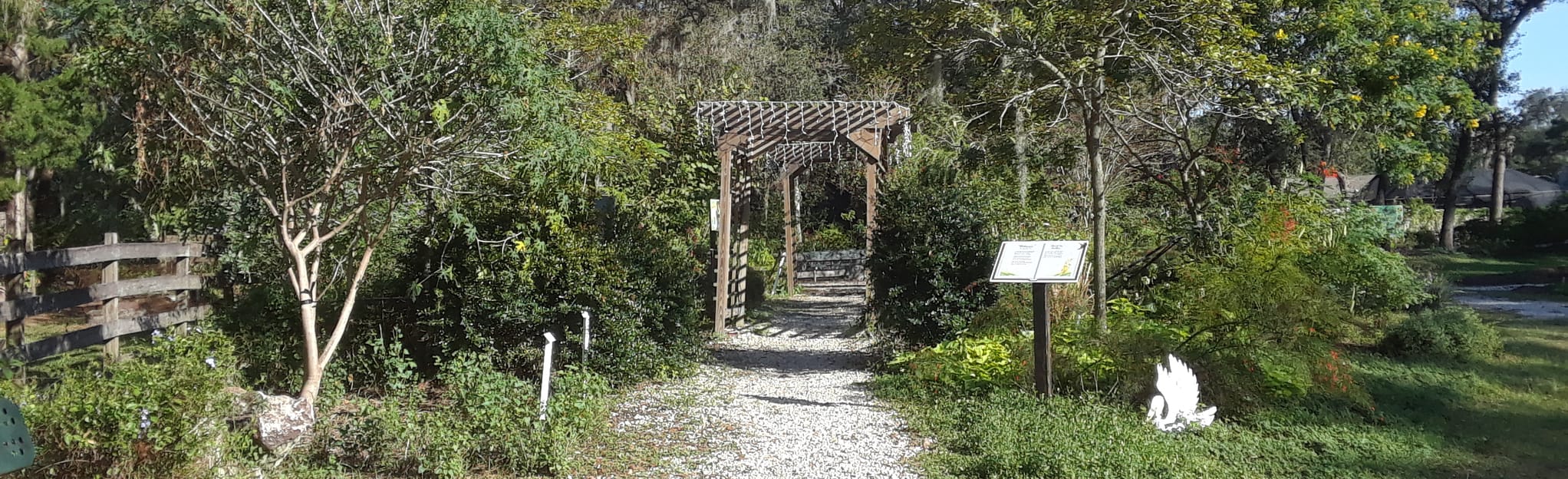 Folly Farm Nature Preserve Loop 58 Photos Floride Randonnée