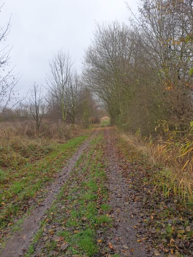 Siebendörfer Moor