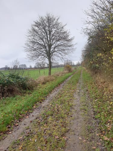 Siebendörfer Moor