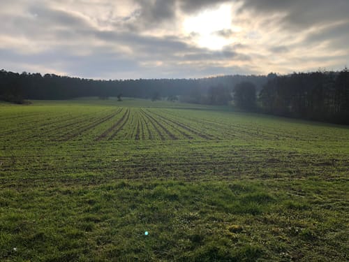Am Aussichtsturm Zemmer