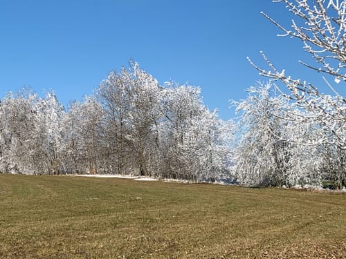Schiederhof: Talweg (Rundwanderweg 8)