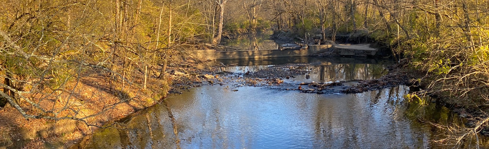 Explore Veterans Park Trail AllTrails