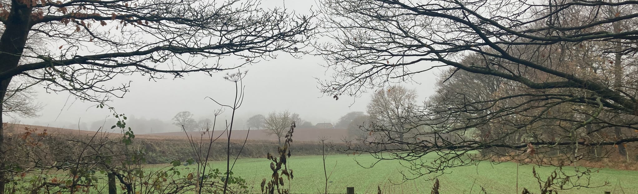 Hanchurch Wood Circular 53 Reviews, Map Staffordshire, England