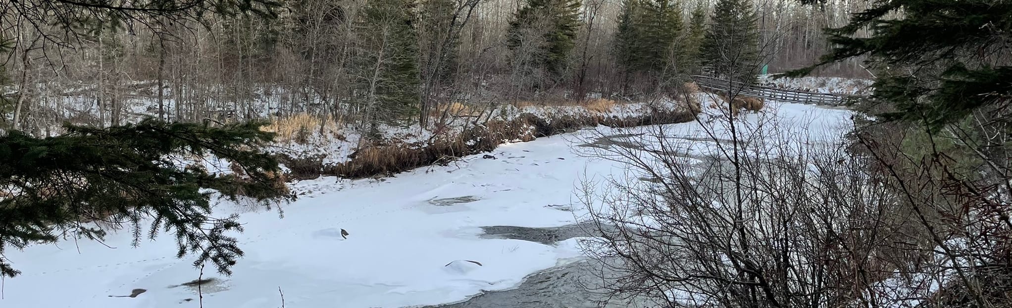 Sandilands Forest Discovery Center Trail 8 Fotos Manitoba, Kanada