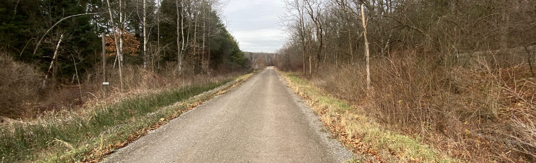 Fred Meijer Flat River Valley Rail Trail 29 Reviews, Map Michigan