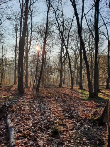 3-Türme-Weg (Premiumwanderweg)