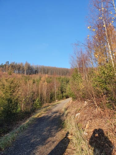 3-Türme-Weg (Premiumwanderweg)