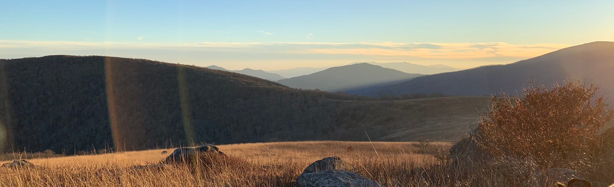 Appalachian Trail Carvers Gap to Little Hump Mountain 130 Reviews