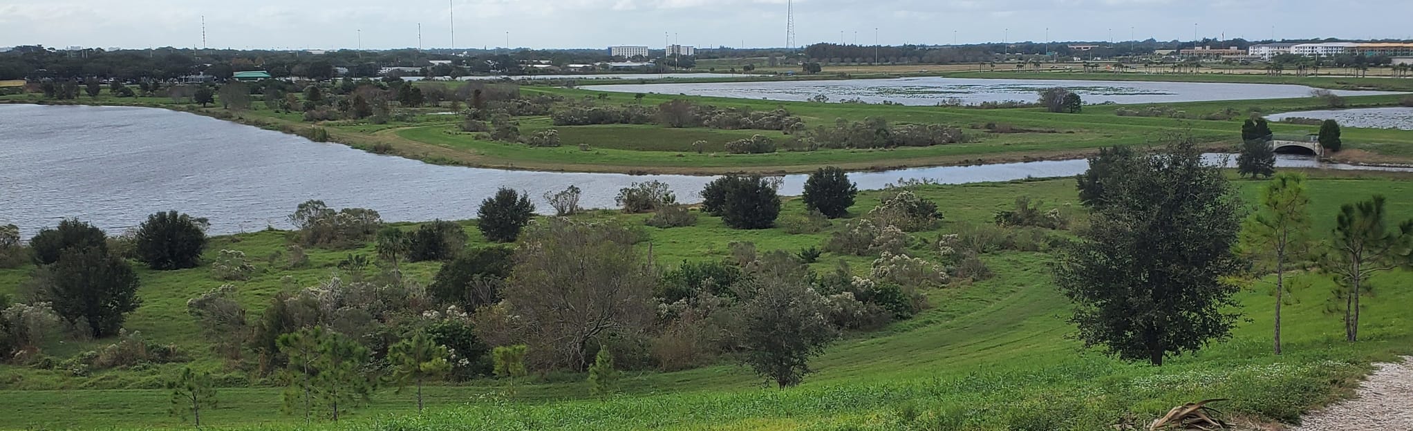 Celery Fields Loop, Florida 373 Reviews, Map AllTrails