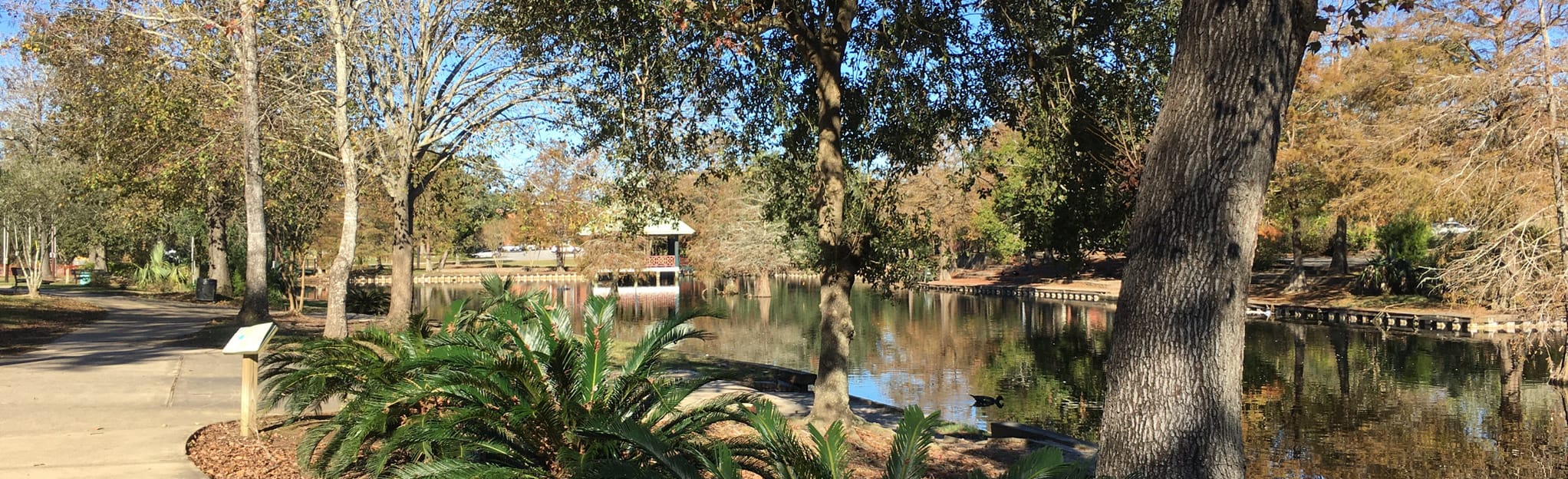 Girard Park Pond Loop Map, Guide Louisiana AllTrails