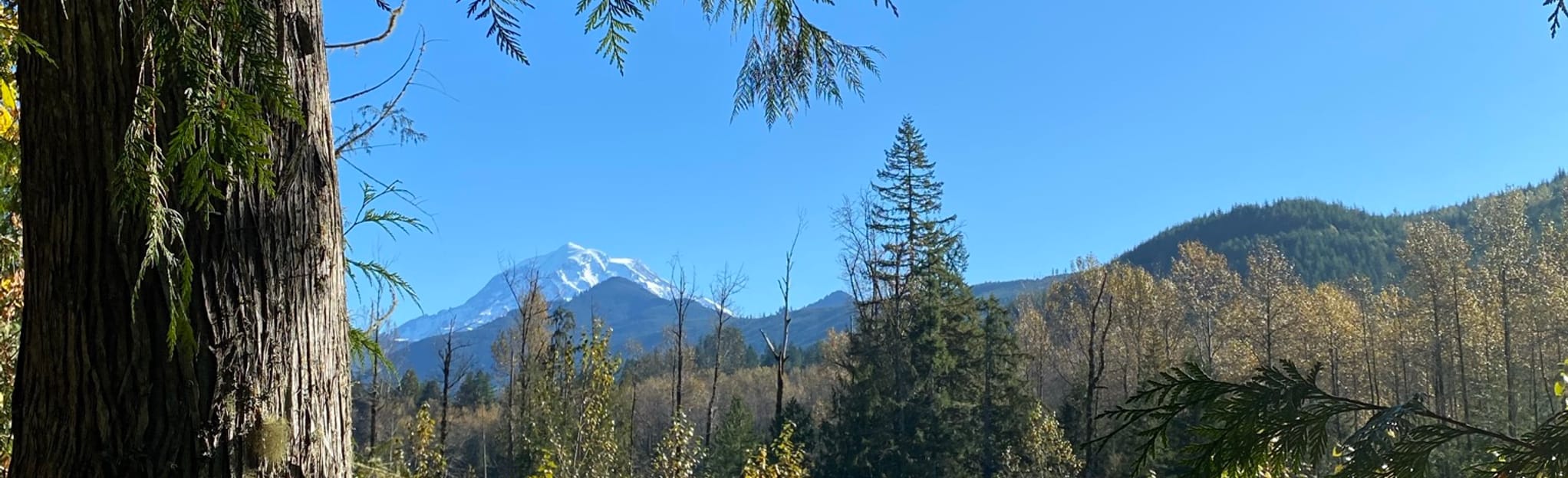 Melmont Ghost Town via Foothills Trail 944 Fotos Washington AllTrails