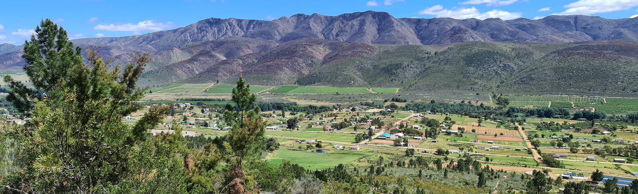 Haarlem Mountain Hike, Western Cape, South Africa Map, Guide AllTrails