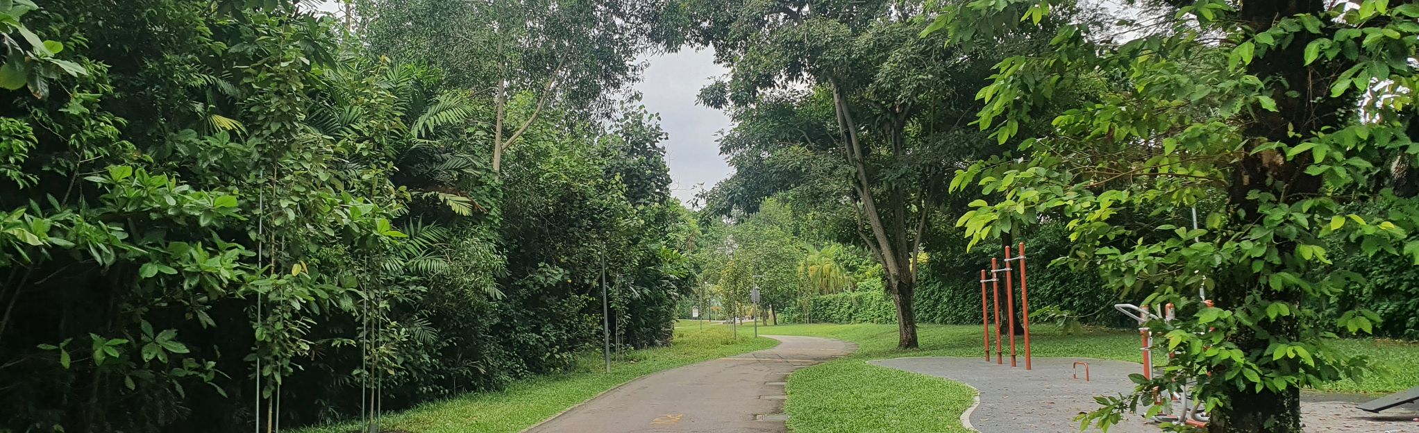 Pasir Ris Park Trail: 175 foto - Central Region, Singapore | AllTrails