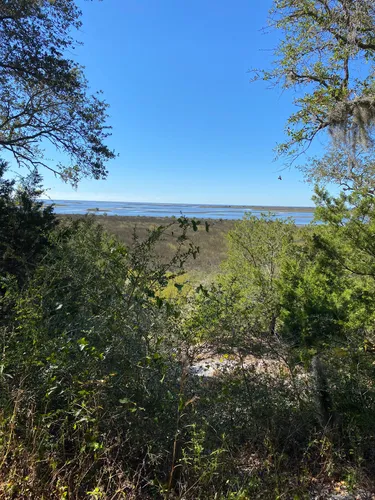 Best Views Trails in Cedar Key | AllTrails