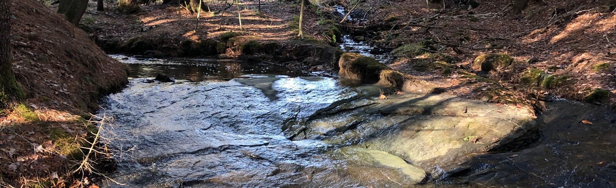 Topsham Highlands Trail, Maine 9 Reviews, Map AllTrails