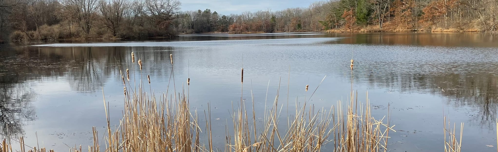 Graham Lakes Trail 795 Reviews, Map Michigan AllTrails