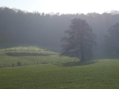 Pier - Meroder Wald Runde