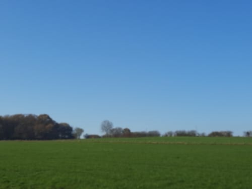 Pier - Meroder Wald Runde