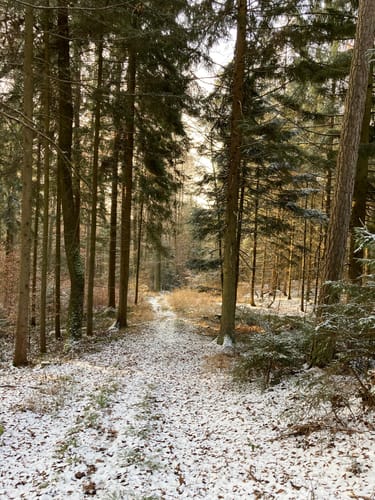 Stubenberg Tour 3 – fürstliches Wandern in Fürstberg
