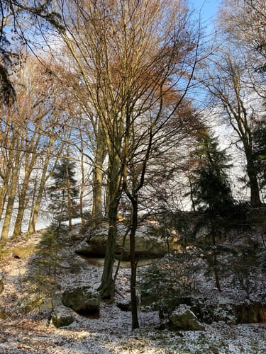 Stubenberg Tour 3 – fürstliches Wandern in Fürstberg