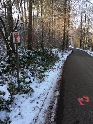 Rund um Wangen im Allgäu