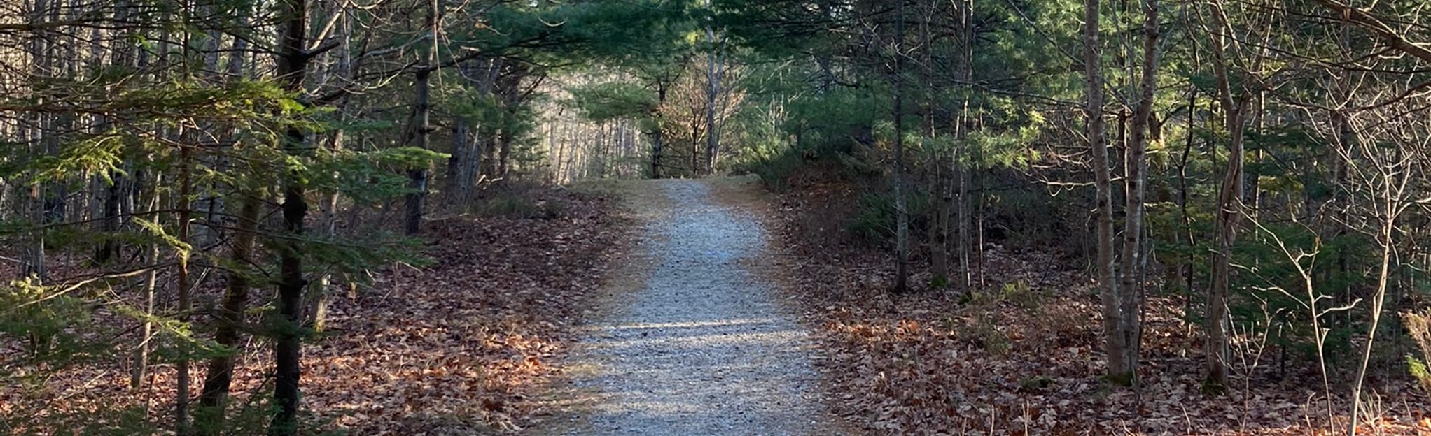 Minot Community Trails Loop 66 Reviews, Map Maine AllTrails