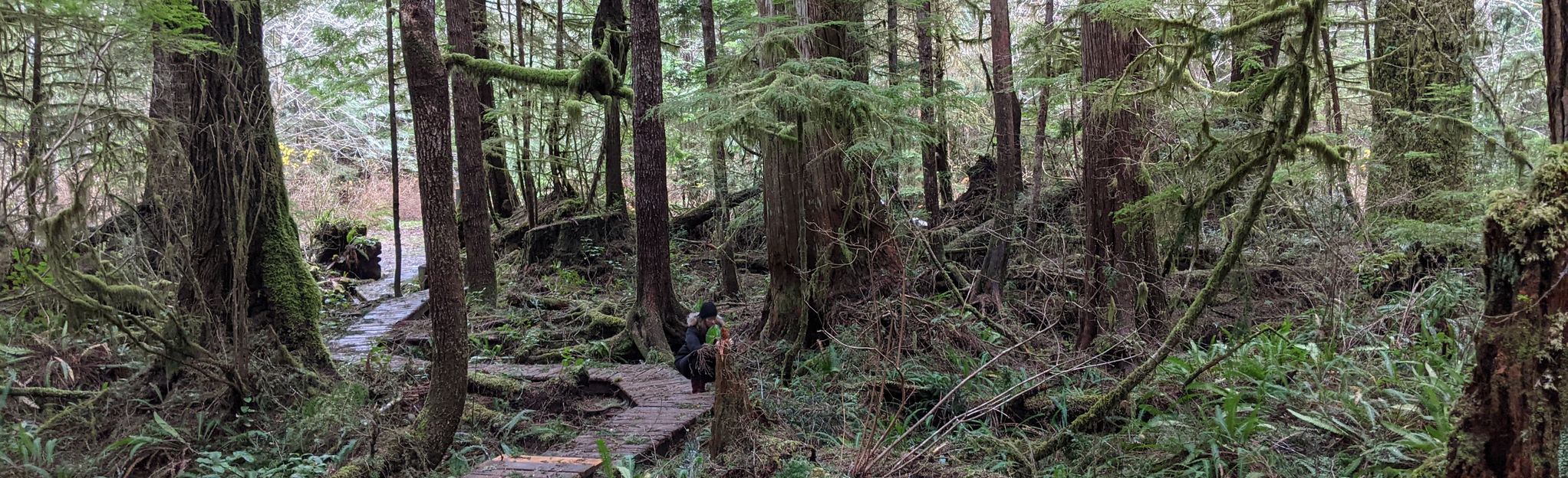 Rainbow Beach Loop, British Columbia, Canada - Map, Guide | AllTrails