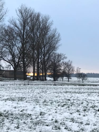 Rund um den Steeger See