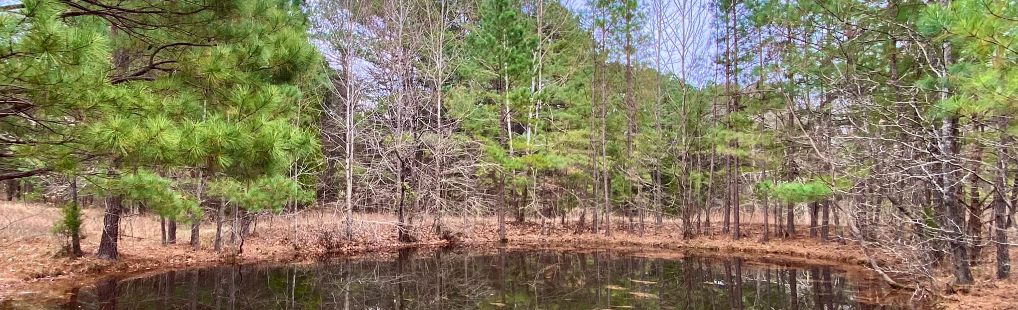 Cemetery to Dunlap Cemetery Map, Guide Tennessee AllTrails