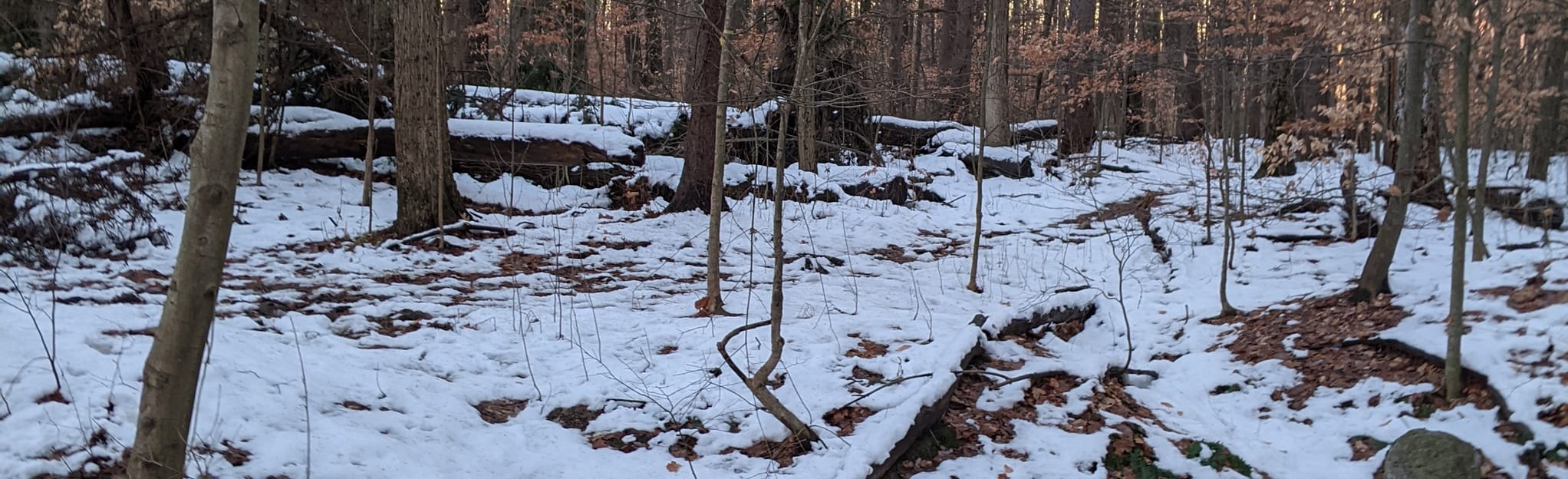 Kipton Reservation Trail 30 Reviews, Map Ohio AllTrails